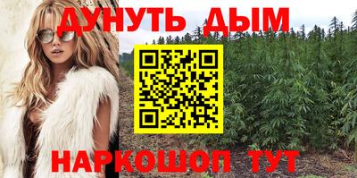 крисы Кинель