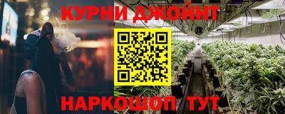 spice Кингисепп