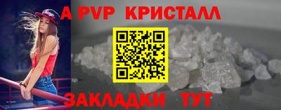 spice Кингисепп