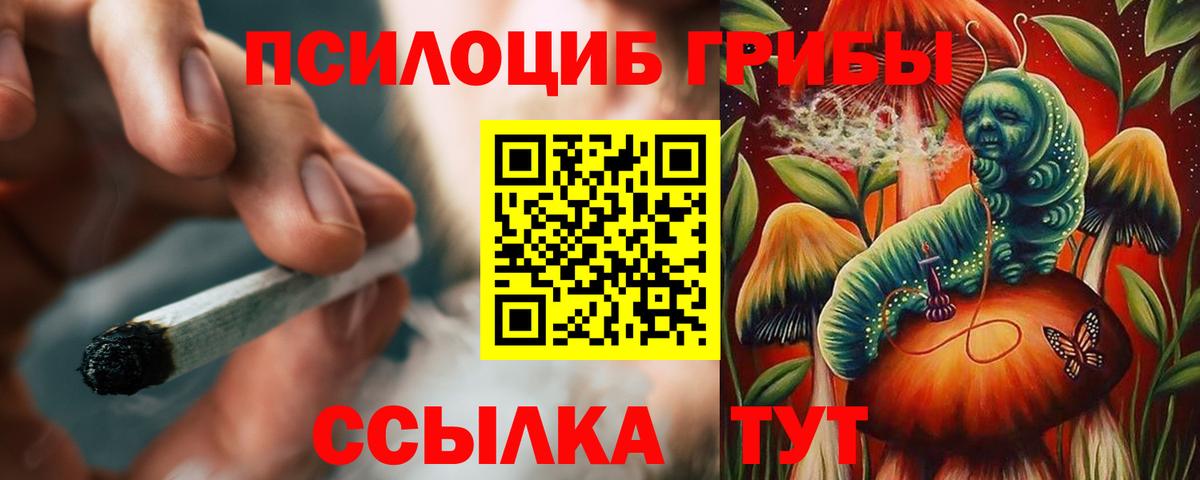 Корсаков  наркошоп  Вход с VPN  Галлюциногенные грибы Cubensis 