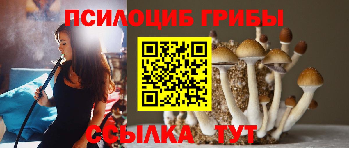 Галлюциногенные грибы Psilocybine cubensis Корсаков